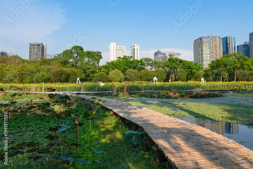 Vachirabenjatas Suan Rot Fai Park. This natural landmark in the heart of the city is a favorite among tourists and travelers, with colorful sunflowers garden in the foreground and modern skyline.