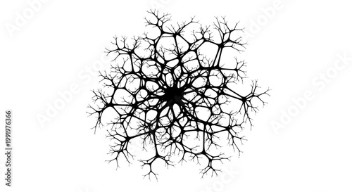 A black vector graphic illustration of a neuron with branching dendrites on a white background