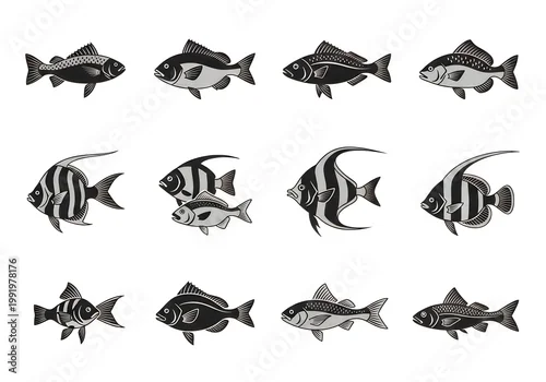 Obraz  z motywem Diverse collection of stylized fish illustrations in monochrome design