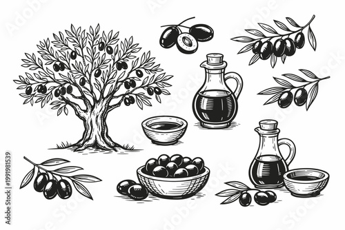 Vintage Hand Drawn Olive Tree and Oil Sketch Set. Vector Illustration of Mediterranean Harvest Elements including Olive Branches, Glass Bottles of Extra Virgin Olive Oil, and Bowls of Black Olives.