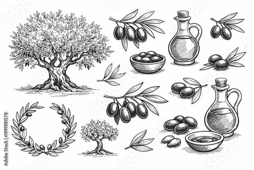 Vintage hand drawn olive tree and branch sketches with olive oil bottles, olives in a bowl, and wreath. Engraving style vector illustration for Mediterranean food, organic products, and labels.