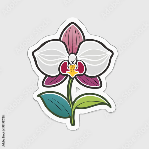 Stylized Orchid Flower Illustration