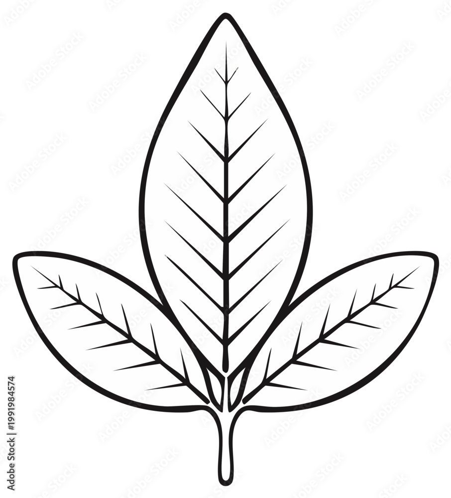 Fototapeta premium Stylized Leaf Illustration with Three Leaves in Black and White Outline