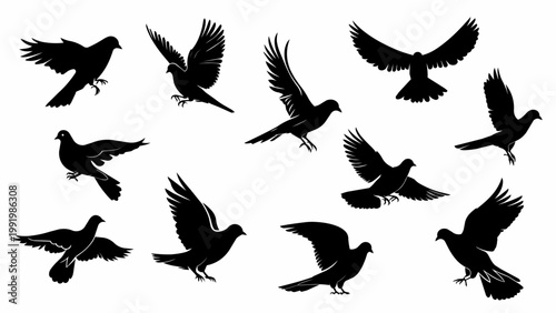 Set of black bird silhouettes in flight with different wing poses and angles. Ideal for nature themes, design elements, logos, and decorative graphics.