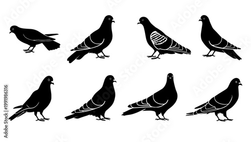 Collection of pigeon silhouettes in various poses, showcasing side and front views with detailed wing markings. Ideal for urban wildlife themes, design elements, and vector graphics
