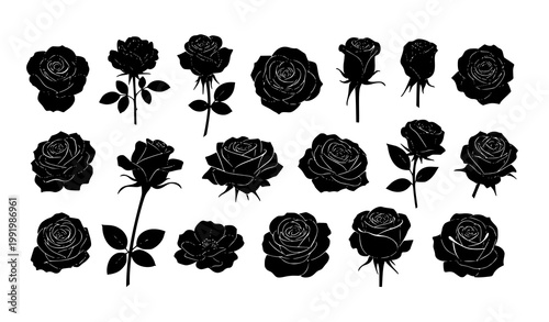 Black rose silhouette vector set with varied floral shapes and angles elegant botanical flower collection isolated on white