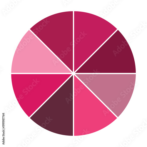 Pink pie chart with 8 parts chart, 8 circle section for business presentation concept. Overall for marketing and education goal vector.