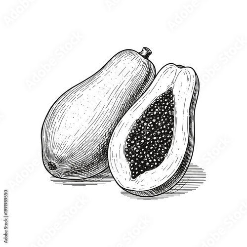 Hand-drawn illustration of whole and halved papaya fruit with seeds on transparent background.