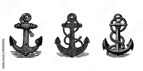 Vintage anchors with rope in engraving style isolated on transparent background.
