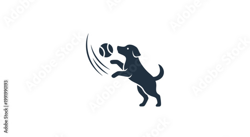 Dog jumping for a ball in motion.