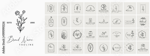 Botanical Logo Collection, Feminine Floral Branding Set, Minimal Elegant Nature Logo Templates Vector Bundle