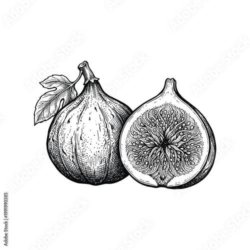 Fresh fig fruit cut in half with leaf vintage engraving style illustration.