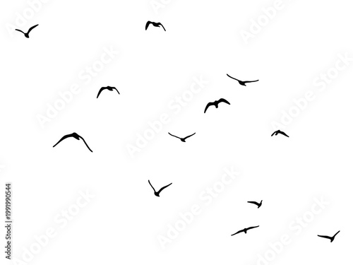 flock of duck birds flying on clear background png. flock of bird's silhouette isolated on transparent clear background png. png flock of bird's silhouette vector illustration of a flying bird