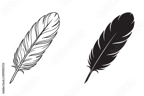 Black feather on transparent background, featuring a single feather with detailed quill and barbs feather quill