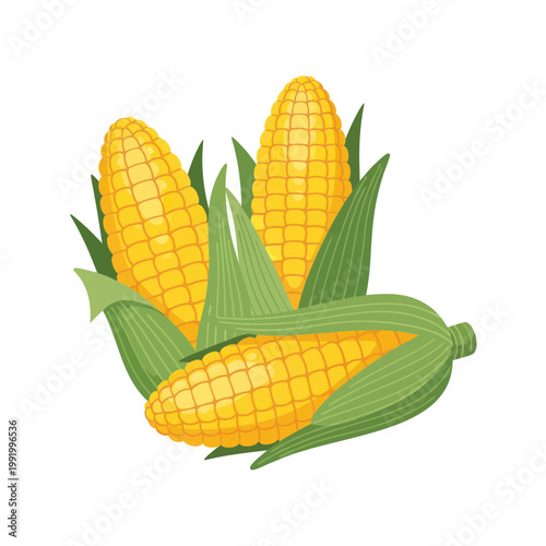 Fresh Corn Cobs with Green Husks and Leaves