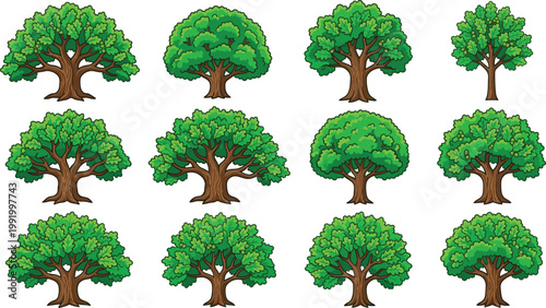 Cuadro en lienzo Green tree cartoon vector collection with leafy forest trees, detailed nature il