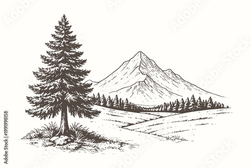 Minimalist Engraving Style Vector Illustration Featuring a Single Large Pine Tree in the Foreground with a Distant Mountain Peak Scene