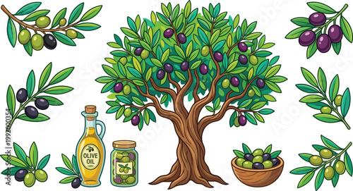 Olive tree cartoon vector collection with branches, green and black olives, oil bottle and jar, organic agriculture illustration set for food design