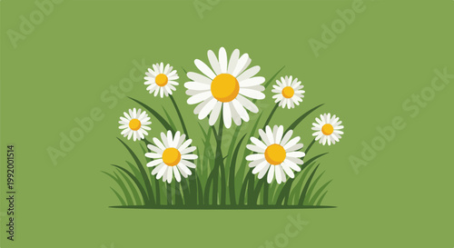 A cluster of daisies with bright yellow centers bloom in lush green grass