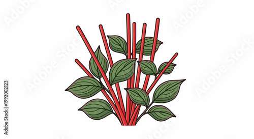 A close-up illustration of a plant with vibrant red stems and clusters of green leaves