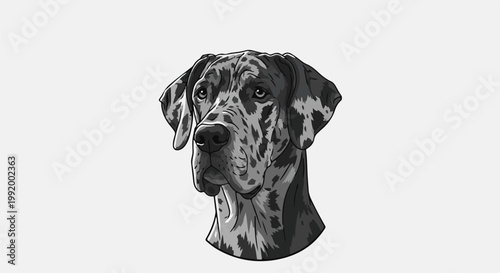 A close-up grayscale illustration of a dog's head with distinctive merle markings