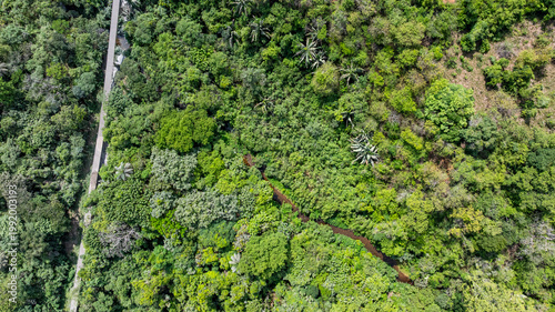 Canvas-taulu Aerial view of the typical vegetation of the high-altitude Cerrado in the Cafuringa Environmental Protection Area, which is undergoing deforestation