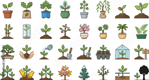 Plant growth stages vector illustration set with seedlings potted plants watering gardening tools and tree development process isolated on white background design