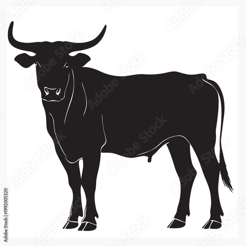 cow on white background