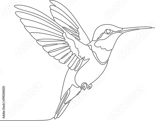 Single continuous line of a soaring bird with detailed feathers and outstretched wings bird continuous line bird feather details