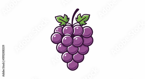 A cluster of plump purple grapes hangs with two green leaves