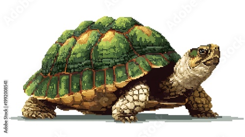 Green turtle pixel art illustration isolated on white background.