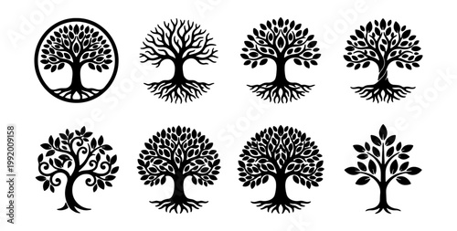 Foto Tree of Life Icons Set, Celtic Knot Circle, Roots and Branches, Nature Symbol Co