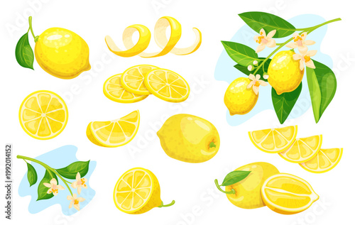 Peel lemon. Citrus yellow fruit lemonade ingredient sour fresh juicy cut fruit slice with zest twist rind natural vitamin lemons branch leaf flower cartoon neat vector illustration