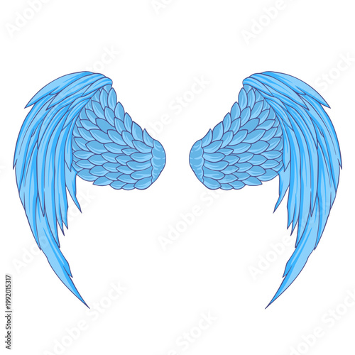 Wings Element Illustration Digital Drawing