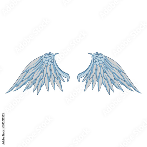 Wings Element Illustration Digital Drawing