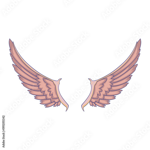 Wings Element Illustration Digital Drawing