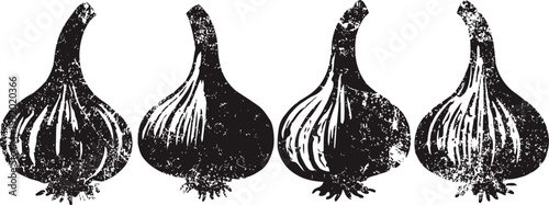 Black garlic bulbs illustration with textured vintage on white background