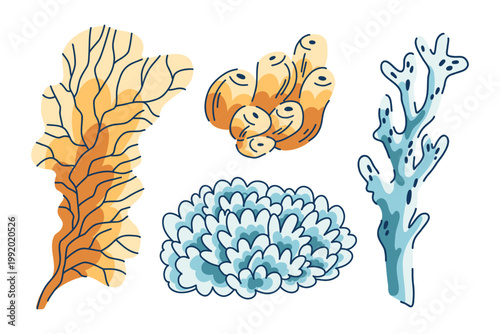 A set of corals and algae of various shapes and sizes, including tree-like, ball-shaped, tubular, seabed organisms, and homes for fish and underwater animals.