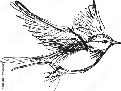 Flying bird sketch drawing with detailed wing feathers and dynamic motion in flight