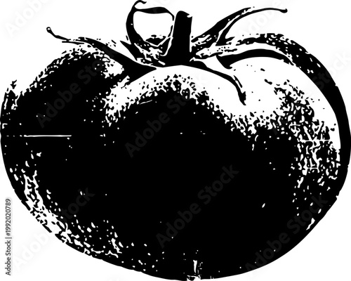 Vintage black and white illustration of a single tomato fruit with stem and leaves