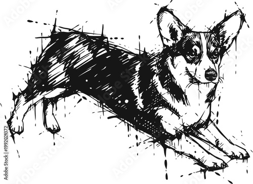 Sketch corgi dog lying down with alert expression, artistic black ink drawing of welsh pet