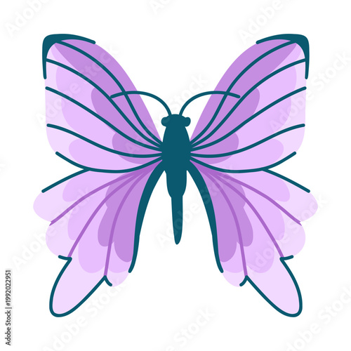 Indian Nyctalemon, butterfly in fantasy purple color isolated on white