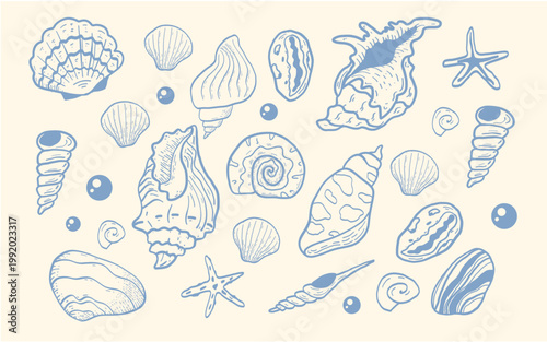 Elegant line art set featuring various seashells, starfish, and pearls. Perfect for nautical designs, marine-themed patterns, coloring books, and elegant stationery.