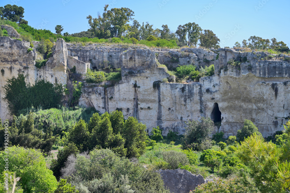 Fototapeta premium Ancient rock quarry walls and lush spring vegetation in archaeological park Syracuse, Sicily