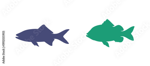 A diverse assortment of rainbow-colored fish showcased on a plain white surface.