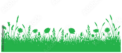 Floral and grass border with blooming meadow flowers and lush green grass.