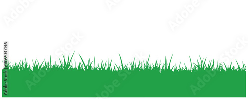 Meadow grass border featuring bumpy and uneven land surface.