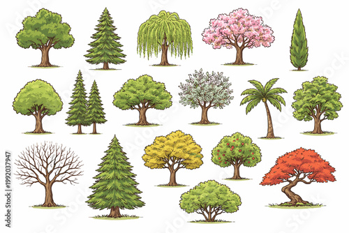 Hand-Drawn Tree Illustrations Set: A Diverse Collection of Various Tree Types Including Deciduous, Coniferous, Palm, Fruit, Flowering, and Bonsai Trees Isolated on White Background for Design.