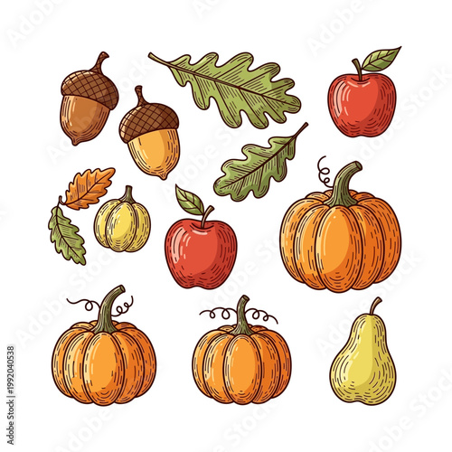 A collection of autumn harvest illustrations including pumpkins, apples, acorns, and pears with oak leaves.