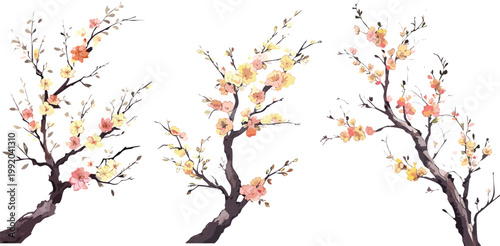 Watercolor ink chinese painting plum blossom bold brush strokes, spring illustration asian japanese style apple cherry flowers transparent isolated, water ink paint canvas vector decoration collection